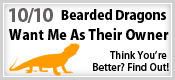 Bearded Dragon Quiz
