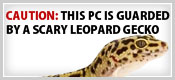 TheBeardedDragon.org Leopard Gecko