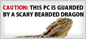 This PC is Guarded By A Scary Bearded Dragon