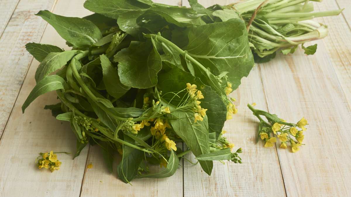 Mustard Greens for Bearded Dragons